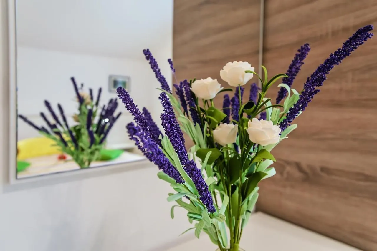 Apartmani Nena Zadar 0*,  Croatia